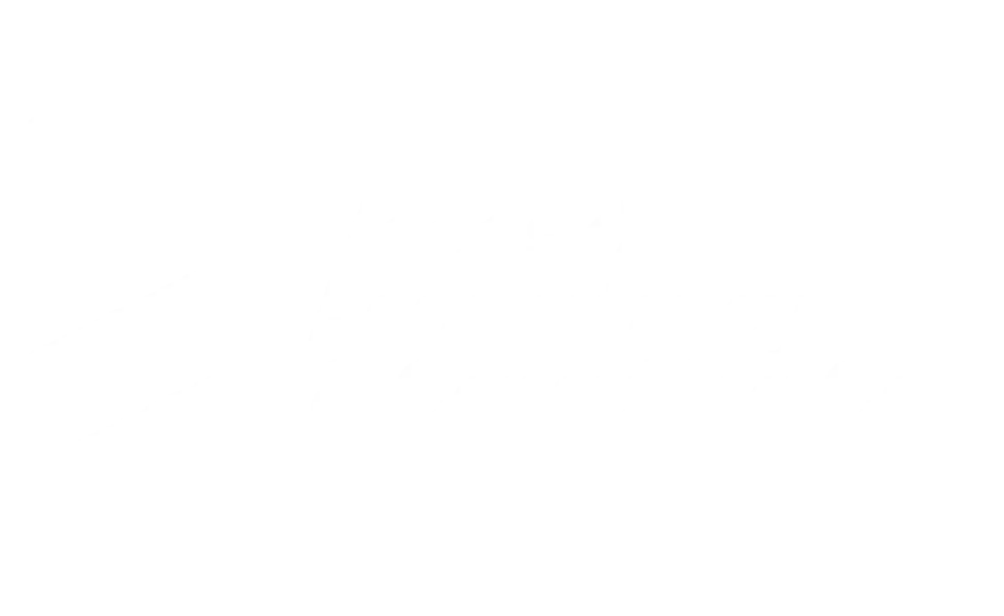 9 (1)
