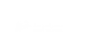 misr travel